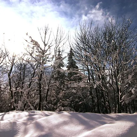 Zueschener Bauernstuben Casa de hóspedes