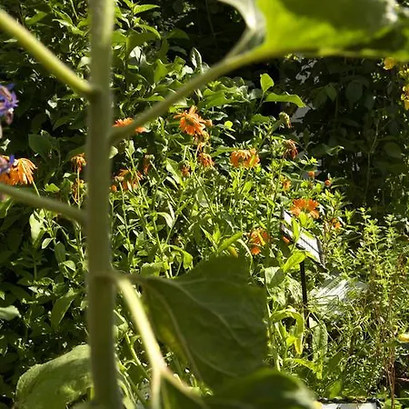 Zueschener Bauernstuben 3* Winterberg