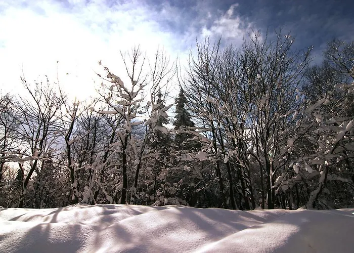 Zueschener Bauernstuben Penzion
