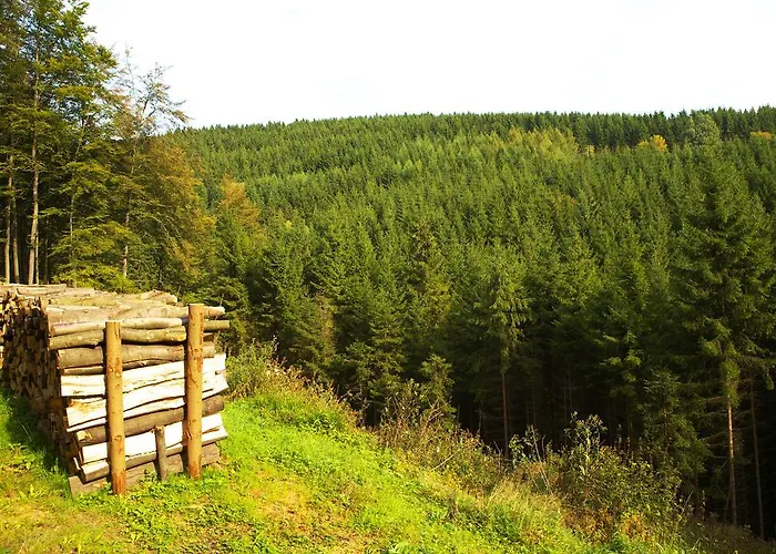 Vendégház Zueschener Bauernstuben Winterberg