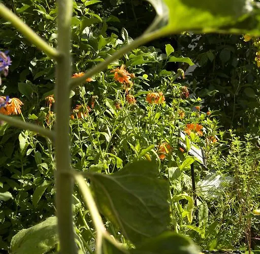 Zueschener Bauernstuben 3* Winterberg